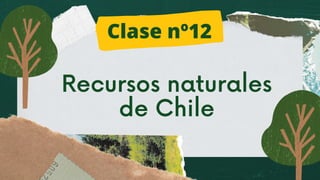 Recursos naturales
de Chile


Clase nº12
 