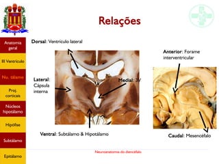 Neuroanatomia do diencéfalo
Relações
Anatomia
geral
III Ventrículo
Nu. tálamo
Proj.
corticais
Núcleos
hipotálamo
Hipófise
Subtálamo
Epitálamo
Medial: 3V
Dorsal: Ventrículo lateral
Ventral: Subtálamo & Hipotálamo
Lateral:
Cápsula
interna
Caudal: Mesencéfalo
Anterior: Forame
interventricular
 
