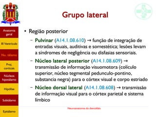 Neuroanatomia do diencéfalo
Grupo lateral
●
Região posterior
– Pulvinar (A14.1.08.610) função de integração de→
entradas visuais, auditivas e somestética; lesões levam
a síndromes de negligência ou disfasias sensoriais.
– Núcleo lateral posterior (A14.1.08.609) →
transmissão de informação visuomotora (colículo
superior, núcleo tegmental pedunculo-pontino,
substancia negra) para o córtex visual e corpo estriado
– Núcleo dorsal lateral (A14.1.08.608) transmissão→
de informação visual para o córtex parietal e sistema
límbico
Anatomia
geral
III Ventrículo
Nu. tálamo
Proj.
corticais
Núcleos
hipotálamo
Hipófise
Subtálamo
Epitálamo
 