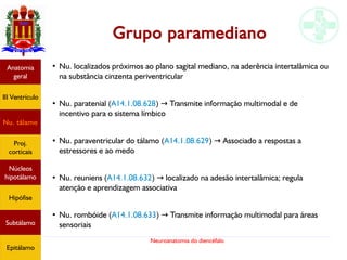 Neuroanatomia do diencéfalo
Grupo paramediano
●
Nu. localizados próximos ao plano sagital mediano, na aderência intertalâmica ou
na substância cinzenta periventricular
●
Nu. paratenial (A14.1.08.628) Transmite informação multimodal e de→
incentivo para o sistema límbico
●
Nu. paraventricular do tálamo (A14.1.08.629) Associado a respostas a→
estressores e ao medo
●
Nu. reuniens (A14.1.08.632) localizado na adesão intertalâmica; regula→
atenção e aprendizagem associativa
●
Nu. rombóide (A14.1.08.633) Transmite informação multimodal para áreas→
sensoriais
Anatomia
geral
III Ventrículo
Nu. tálamo
Proj.
corticais
Núcleos
hipotálamo
Hipófise
Subtálamo
Epitálamo
 