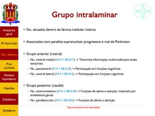 Neuroanatomia do diencéfalo
Grupo intralaminar
●
Nu. situados dentro da lâmina medular interna.
●
Associados com paralisia supranuclear progressiva e mal de Parkinson.
●
Grupo anterior (rostral)
– Nu. central medial (A14.1.08.617) Transmite informação multimodal para áreas→
sensoriais
– Nu. paracentral (A14.1.08.619) Participação em funções cognitivas→
– Nu. central lateral (A14.1.08.616) Participação em funções cognitivas→
●
Grupo posterior (caudal)
– Nu. centromediano (A14.1.08.618) Funções de alerta e atenção; inativado por→
anestésicos gerais
– Nu. parafascicular (A14.1.08.620) Funções de alerta e atenção→
Anatomia
geral
III Ventrículo
Nu. tálamo
Proj.
corticais
Núcleos
hipotálamo
Hipófise
Subtálamo
Epitálamo
 