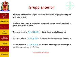 Neuroanatomia do diencéfalo
Grupo anterior
●
Recebem aferentes dos corpos mamilares e do subículo; projetam-se para
o giro do cíngulo
●
Modulam alerta e estão envolvidos na aprendizagem e memória episódica;
parte do circuito de Papez
●
Nu. anteroventral (A14.1.08.606) Controle da função hipocampal→
●
Nu. anterodorsal (A14.1.08.604) Sistema de direcionamento da cabeça→
●
Nu anteromedial (A14.1.08.605) Transfere informação do hipocampo e→
do tálamo para áreas pré-frontais
Anatomia
geral
III Ventrículo
Nu. tálamo
Proj.
corticais
Núcleos
hipotálamo
Hipófise
Subtálamo
Epitálamo
 