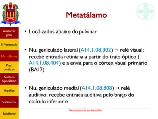 Neuroanatomia do diencéfalo
Metatálamo
●
Localizados abaixo do pulvinar
●
Nu. geniculado lateral (A14.1.08.302) relé visual;→
recebe entrada retiniana a partir do trato óptico (
A14.1.08.404) e a envia para o córtex visual primário
(BA17)
●
Nu. geniculado medial (A14.1.08.808) relé→
auditivo; recebe entrada auditiva pelo braço do
colículo inferior e
Anatomia
geral
III Ventrículo
Nu. tálamo
Proj.
corticais
Núcleos
hipotálamo
Hipófise
Subtálamo
Epitálamo
 
