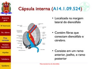 Neuroanatomia do diencéfalo
Cápsula interna (A14.1.09.524)
Anatomia
geral
III Ventrículo
Nu. tálamo
Proj.
corticais
Núcleos
hipotálamo
Hipófise
Subtálamo
Epitálamo
●
Localizada na margem
lateral do diencéfalo
●
Contém fibras que
conectam diencéfalo e
cérebro.
●
Consiste em um ramo
anterior, joelho, e ramo
posterior
 