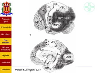 Neuroanatomia do diencéfalo
Anatomia
geral
III Ventrículo
Nu. tálamo
Proj.
corticais
Núcleos
hipotálamo
Hipófise
Subtálamo
Epitálamo Marcus & Jacobson, 2003
 
