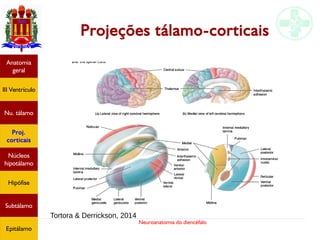 Neuroanatomia do diencéfalo
Projeções tálamo-corticais
Anatomia
geral
III Ventrículo
Nu. tálamo
Proj.
corticais
Núcleos
hipotálamo
Hipófise
Subtálamo
Epitálamo
Tortora & Derrickson, 2014
 