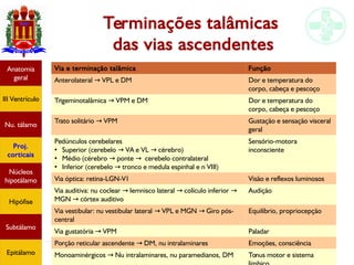 Neuroanatomia do diencéfalo
Terminações talâmicas
das vias ascendentes
Via e terminação talâmica Função
Anterolateral VPL e DM→ Dor e temperatura do
corpo, cabeça e pescoço
Trigeminotalâmica VPM e DM→ Dor e temperatura do
corpo, cabeça e pescoço
Trato solitário VPM→ Gustação e sensação visceral
geral
Pedúnculos cerebelares
●
Superior (cerebelo VA e VL cérebro)→ →
● Médio (cérebro ponte cerebelo contralateral→ →
● Inferior (cerebelo tronco e medula espinhal e n VIII)→
Sensório-motora
inconsciente
Via óptica: retina-LGN-V1 Visão e reflexos luminosos
Via auditiva: nu coclear lemnisco lateral colículo inferior→ → →
MGN córtex auditivo→
Audição
Via vestibular: nu vestibular lateral VPL e MGN Giro pós-→ →
central
Equilíbrio, propriocepção
Via gustatória VPM→ Paladar
Porção reticular ascendente DM, nu intralaminares→ Emoções, consciência
Monoaminérgicos Nu intralaminares, nu paramedianos, DM→ Tonus motor e sistema
Anatomia
geral
III Ventrículo
Nu. tálamo
Proj.
corticais
Núcleos
hipotálamo
Hipófise
Subtálamo
Epitálamo
 
