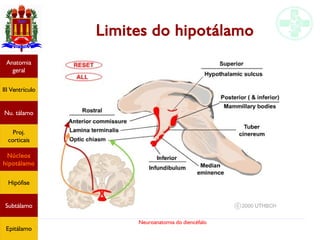 Neuroanatomia do diencéfalo
Limites do hipotálamo
Anatomia
geral
III Ventrículo
Nu. tálamo
Proj.
corticais
Núcleos
hipotálamo
Hipófise
Subtálamo
Epitálamo
 