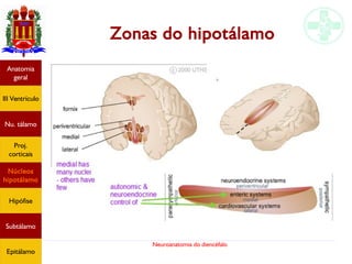 Neuroanatomia do diencéfalo
Zonas do hipotálamo
Anatomia
geral
III Ventrículo
Nu. tálamo
Proj.
corticais
Núcleos
hipotálamo
Hipófise
Subtálamo
Epitálamo
 