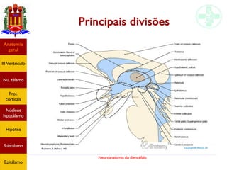 Neuroanatomia do diencéfalo
Principais divisões
Anatomia
geral
III Ventrículo
Nu. tálamo
Proj.
corticais
Núcleos
hipotálamo
Hipófise
Subtálamo
Epitálamo
 