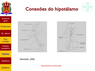 Neuroanatomia do diencéfalo
Anatomia
geral
III Ventrículo
Nu. tálamo
Proj.
corticais
Núcleos
hipotálamo
Hipófise
Subtálamo
Epitálamo
Conexões do hipotálamo
Machado, 2006
 
