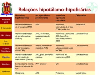 Neuroanatomia do diencéfalo
Relações hipotálamo-hipofisárias
Anatomia
geral
III Ventrículo
Nu. tálamo
Proj.
corticais
Núcleos
hipotálamo
Hipófise
Subtálamo
Epitálamo
Hormônio
hipofisiotrófico
Nu hipotalâmico
predominante
Hormônio
hipofisário
controlado
Célula-alvo
Hormônio liberador
de tirotropina (TRH)
PVN Hormônio
estimulante da tiróide
(TSH), prolactina
Tirotróficas
Hormônio liberador
de gonadotropinas
(GnRH)
AHA, nu mediais,
áreas septais pré-
ópticas
Hormônio luteinizante
(LH), hormônio
folículo-estimulante
(FSH)
Gonadotróficas
Hormônio liberador
de corticotropina
(CRH/CRF)
Porção parvocelular
medial do PVN
Hormônio
adrenocorticotrópico
(ACTH)
Corticotróficas
Hormônio liberador
de hormônio do
crescimento (GHRH)
ARC, próx. eminência
mediana
Hormônio do
crescimento (GH)
Somatotróficas
Somatostatina, inibina,
hormonio inibidor do
GH
PVN anterior GH Somatotróficas
Dopamina ARC Prolactina Lactotróficas
 