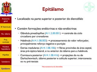 Neuroanatomia do diencéfalo
Epitálamo
●
Localizado na parte superior e posterior do diencéfalo
●
Contém formações endócrinas e não-endócrinas
– Glândula pineal/epífise (A11.2.00.001) controle do ciclo→
circadiano por cronadores
– Habênula (A14.1.08.003) processamento do valor reforçador,→
principalmente reforço negativo e punição
– Estrias medulares (A14.1.08.106) fibras provindas da área septal,→
área pré-óptica lateral, e nu anterior do tálamo para a habênula
– Comissura posterior (A14.1.08.416) projeções do nu de→
Darkschewitsch, tálamo posterior e colículo superior; interconecta
os nu pré-tectais
Anatomia
geral
III Ventrículo
Nu. tálamo
Proj.
corticais
Núcleos
hipotálamo
Hipófise
Subtálamo
Epitálamo
 