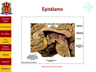 Neuroanatomia do diencéfalo
Anatomia
geral
III Ventrículo
Nu. tálamo
Proj.
corticais
Núcleos
hipotálamo
Hipófise
Subtálamo
Epitálamo
Epitálamo
 