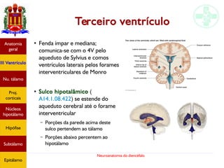 Neuroanatomia do diencéfalo
Terceiro ventrículo
●
Fenda ímpar e mediana;
comunica-se com o 4V pelo
aqueduto de Sylvius e comos
ventrículos laterais pelos forames
interventriculares de Monro
●
Sulco hipotalâmico (
A14.1.08.422) se estende do
aqueduto cerebral até o forame
interventricular
– Porções da parede acima deste
sulco pertendem ao tálamo
– Porções abaixo percentem ao
hipotálamo
Anatomia
geral
III Ventrículo
Nu. tálamo
Proj.
corticais
Núcleos
hipotálamo
Hipófise
Subtálamo
Epitálamo
 