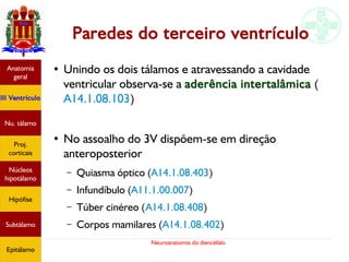 Neuroanatomia do diencéfalo
Paredes do terceiro ventrículo
●
Unindo os dois tálamos e atravessando a cavidade
ventricular observa-se a aderência intertalâmica (
A14.1.08.103)
●
No assoalho do 3V dispõem-se em direção
anteroposterior
– Quiasma óptico (A14.1.08.403)
– Infundíbulo (A11.1.00.007)
– Túber cinéreo (A14.1.08.408)
– Corpos mamilares (A14.1.08.402)
Anatomia
geral
III Ventrículo
Nu. tálamo
Proj.
corticais
Núcleos
hipotálamo
Hipófise
Subtálamo
Epitálamo
 
