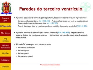 Neuroanatomia do diencéfalo
Paredes do terceiro ventrículo
●
A parede posterior é formada pelo epitálamo, localizado acima do sulco hipotalâmico
– Estrias medulares do tálamo (A14.1.08.106) – Projeções laterais percorrendo as paredes laterais
do ventrículo; inserção da tela corióide (A14.1.01.305).
– A partir da tela corióide se invaginam os plexos corióides do terceiro ventrículo (A14.1.01.306)
●
A parede anterior é formada pela lâmina terminal (A14.1.08.419), disposta entre o
quiasma óptico e a comissura anterior derivam da porção não-evaginada da vesícula→
telencefálica.
●
A luz do 3V se evagina em quatro recessos
– Recesso do infundíbulo
– Recesso óptico
– Recesso pineal
– Recesso suprapineal
Anatomia
geral
III Ventrículo
Nu. tálamo
Proj.
corticais
Núcleos
hipotálamo
Hipófise
Subtálamo
Epitálamo
 