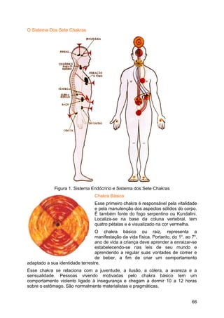 O Sistema Dos Sete Chakras
Figura 1. Sistema Endócrino e Sistema dos Sete Chakras
Chakra Básico
Esse primeiro chakra é responsável pela vitalidade
e pela manutenção dos aspectos sólidos do corpo.
É também fonte do fogo serpentino ou Kundalini.
Localiza-se na base da coluna vertebral, tem
quatro pétalas e é visualizado na cor vermelha.
O chakra básico ou raiz, representa a
manifestação da vida física. Portanto, do 1o
. ao 7o
.
ano de vida a criança deve aprender a enraizar-se
estabelecendo-se nas leis de seu mundo e
aprendendo a regular suas vontades de comer e
de beber, a fim de criar um comportamento
adaptado a sua identidade terrestre.
Esse chakra se relaciona com a juventude, a ilusão, a cólera, a avareza e a
sensualidade. Pessoas vivendo motivadas pelo chakra básico tem um
comportamento violento ligado à insegurança e chegam a dormir 10 a 12 horas
sobre o estômago. São normalmente materialistas e pragmáticas.
66
 