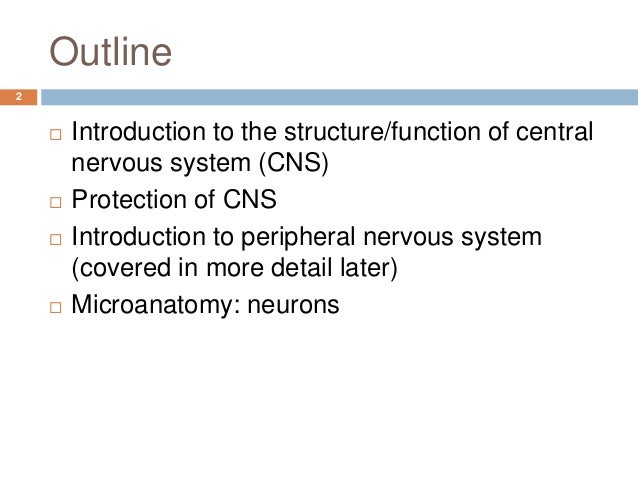 outline of the nervous system The nervous system is the part of an animal that coordinates its actions by transmitting signals to and from different parts of its body the nervous system detects environmental changes that impact the body, then works in tandem with the endocrine system to respond to such events nervous tissue first arose in wormlike organisms about 550 to. outline of the nervous system The nervous system is the part of an animal that coordinates its actions by transmitting signals to and from different parts of its body the nervous system detects environmental changes that impact the body, then works in tandem with the endocrine system to respond to such events nervous tissue first arose in wormlike organisms about 550 to.