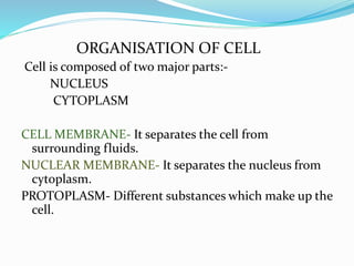 Cell: The basic unit of life