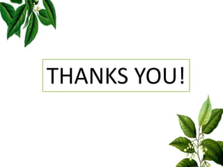 Want big impact?
Use big image.
THANKS YOU!
 