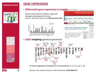 GENE EXPRESSION
• Differential gene expression in muscle
Muscle transcriptomic profiles in pigs with
divergent phenotypes for fatness.
Cánovas , Quintanilla, Amills, Pena. BMC Genomics 2010
• eQTL mapping (genetical genomics)
11 trans-regulatory hotspots on chromosomes 1, 2, 3, 5, 6, 7, 12
Cánovas, Pena, Gallardo, Ramírez, Amills & Quintanilla. PLOS ONE 2011
0
1
2
3
4
5
6
Fold-changeratio
Microarray ratio
qPCR ratio
TRANSCRIPTOMICS
 