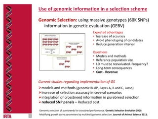 Use of genomic information in a selection scheme
Genomic Selection: using massive genotypes (60K SNPs)
information in genetic evaluation (GEBV)
Current studies regarding implementation of GS
models and methods (genomic BLUP, Bayes A, B and C, Lasso)
increase of selection accuracy in several scenarios
integration of crossbreed information in purebreed selection
reduced SNP panels – Reduced cost
Genomic selection of purebreeds for crossbred performance. Genetic Selection Evolution 2009.
Modifying growth curve parameters by multitrait genomic selection. Journal of Animal Science 2011.
Expected advantages
• Increase of accuracy
• Avoid phenotyping of candidates
• Reduce generation interval
Questions
• Models and methods
• Reference population size
• LD must be reevaluated. Frequency?
• Long-term consequences
• Cost - Revenue
 