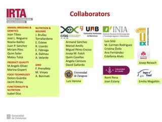 Collaborators
Armand Sánchez
Marcel Amills
Miguel Pérez-Enciso
Josep M. Folch
Quim Casellas
Angela Cánovas
David Gallardo
Luis Silió
M. Carmen Rodríguez
Cristina Óvilo
Ana Fernández
Estefania Alvés
Romi Pena
Joan EstanyLuis Varona
ANIMAL BREEDING &
GENETICS
Joan Tibau
José L. Noguera
Noelia Ibáñez
Juan P. Sánchez
Miriam Piles
Quim Soler
Mateu Tulsà
PRODUCT QUALITY
M.Angels Oliver
Marina Gispert
FOOD TECHNOLOGY
Dolors Guàrdia
Jacint Arnau
FUNCTIONALITY &
NUTRITION
Isabel Díaz
Josep Reixach
Emilio Magallón
NUTRITION &
WELFARE
J. Brufau
Torrallardona
E. Esteve
R. Lizardo
E. Fàbrega
A. Dalmau
A. Velarde
GIRO
F. Prenafeta
M. Vinyes
A. Bonmatí
 
