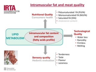 • Polyunsaturated FA (PUFA)
• Monounsaturated FA (MUFA)
• Saturated FA (SFA)
• cholesterol content
Sensory quality
Hedonic evaluation
Technological
Quality
Nutritional Quality
Consumers health
Intramuscular fat and meat quality
Intramuscular fat content
and composition
(fatty acids profile)
LIPID
METABOLISM • Water loss
• Rancidity
• Firmless
• Melting
• Tenderness
• Taste
• Flavour
• Juiceness
 