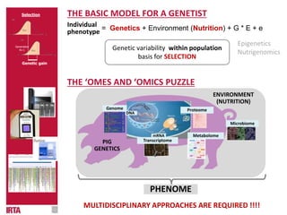 THE ‘OMES AND ‘OMICS PUZZLE
MULTIDISCIPLINARY APPROACHES ARE REQUIRED !!!!
Genome Proteome
mRNA
DNA
Transcriptome
Microbiome
Metabolome
PHENOME
ENVIRONMENT
(NUTRITION)
PIG
GENETICS
THE BASIC MODEL FOR A GENETIST
= Genetics + Environment (Nutrition) + G * E + e
Genetic gain
Generation
N+1 Genetic variability within population
basis for SELECTION
Individual
phenotype
Selection
Epigenetics
Nutrigenomics
 