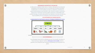 RENDIMIENTO DEPORTIVO Y NUTRICION
La dieta de los nadadores debe tener un balance adecuado de los nutrientes
contenidos en los alimentos que son esenciales para alcanzar favorables
rendimientos y un estado óptimo de salud. Los alimentos constituyen la
materia prima necesaria para producir calor, formar los tejidos corporales y
mantenerlos. Una buena nutrición implica suficientes combustibles para
producir energía y el aporte adecuado de las vitaminas y los minerales que son
imprescindibles para el crecimiento y funcionamiento de las células.
LOS NUTRIEMTES SE CRASIFICAN EN 6
CARBOHIDRATOS, PROTEINAS, GRASAS, VITAMINAS, MINERALES Y AGUA
ILUSTRACIÓN1
Las principales fuentes de los carbohidratosson: Los cereales, los dulces, la
leche, las frutas y algunas viandas, (fruto que se sirve cocido), frito los
vegetales. Otros alimentos que contienen carbohidratos son las pastas y los
panes
Los Carbohidratos:
16/03/2019 23
 