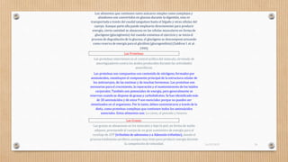 Las Proteínas:
Los alimentos que contienen tanto azúcares simples como complejos y
almidones son convertidos en glucosa durante la digestión, esta es
transportada a través del caudal sanguíneo hasta el hígado y otras células del
cuerpo. Aunque parte ella puede emplearse directamente para producir
energía, cierta cantidad se almacena en las células musculares en forma de
glucógeno (glucogénesis) Así cuando comienza el ejercicio y se inicia el
proceso de degradación de la glucosa, el glucógeno se descompone actuando
como reserva de energía para el glicólisis (glucogenólisis)(Saldivar I. et al.
1999)
Las proteínas intervienen en el control acídico del músculo, sirviendo de
amortiguadores contra los ácidos producidos durante las actividades
anaeróbicas.
Las proteínas son compuestos con contenido de nitrógeno, formados por
aminoácidos, constituyen el componente principal de la estructura celular de
los anticuerpos, de las enzimas y de muchas hormonas. Las proteínas son
necesarias para el crecimiento, la reparación y el mantenimiento de los tejidos
corporales. También son potenciales de energía, pero generalmente se
reservan cuando se dispone de grasas y carbohidratos. Se han identificado más
de 20 aminoácidos y de estos 9 son esenciales porque no pueden ser
sintetizados en el organismo. Por lo tanto, deben suministrarse a través de la
dieta, como proteínas complejas que contienen todos los aminoácidos
esenciales. Estos alimentos son: La carne, el pescado y lasaves.
Las grasas se almacenan en los músculos y bajo la piel, en forma de tejido
adiposo, proveyendo al cuerpo de un gran suministro de energía para el
reciclaje de ATP (trifosfato de adenosina o a Adenosín trifosfato), siendo el
procesototalmente aeróbico,aunque muy lento para producirenergía durante
la competición de velocidad.
Las Grasas:
16/03/2019 24
 