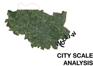 w
      a


roc
W
CITY SCALE
  ANALYSIS
 