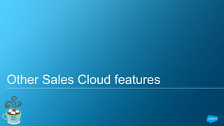 Other Sales Cloud features
 