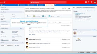 Sample branded Console
Custom header logo, custom header, primary tab and footer
color.
 
