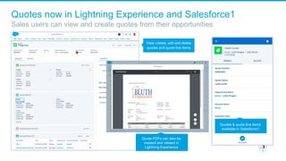 Salesforce Winter 17 Release Overview | PPTX