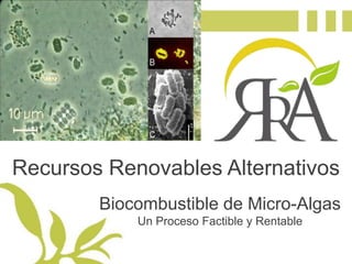 Recursos Renovables Alternativos Biocombustible de Micro-Algas Un Proceso Factible y Rentable 