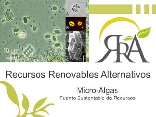 Recursos Renovables Alternativos Micro-Algas Fuente Sustentable de Recursos 