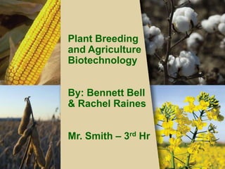 Plant Breeding and Agriculture Biotechnology By: Bennett Bell  & Rachel Raines Mr. Smith – 3rd Hr 
