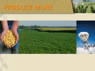 PRODUCE MORE