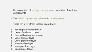 Retina Ten Rrd | PPTX