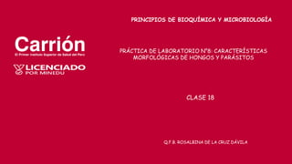 CLASE 18
Q.F.B. ROSALBINA DE LA CRUZ DÁVILA
PRINCIPIOS DE BIOQUÍMICA Y MICROBIOLOGÍA
PRÁCTICA DE LABORATORIO N°8: CARACTERÍSTICAS
MORFOLÓGICAS DE HONGOS Y PARÁSITOS
 