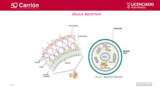 RRDD_CLASE_18_Microbiologia_09_12__2021.pdf