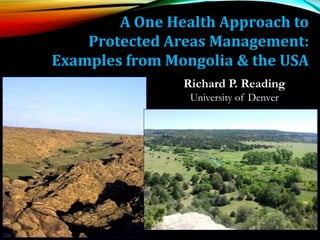 A One Health Approach to
Protected Areas Management:
Examples from Mongolia & the USA
Richard P. Reading
University of Denver
 