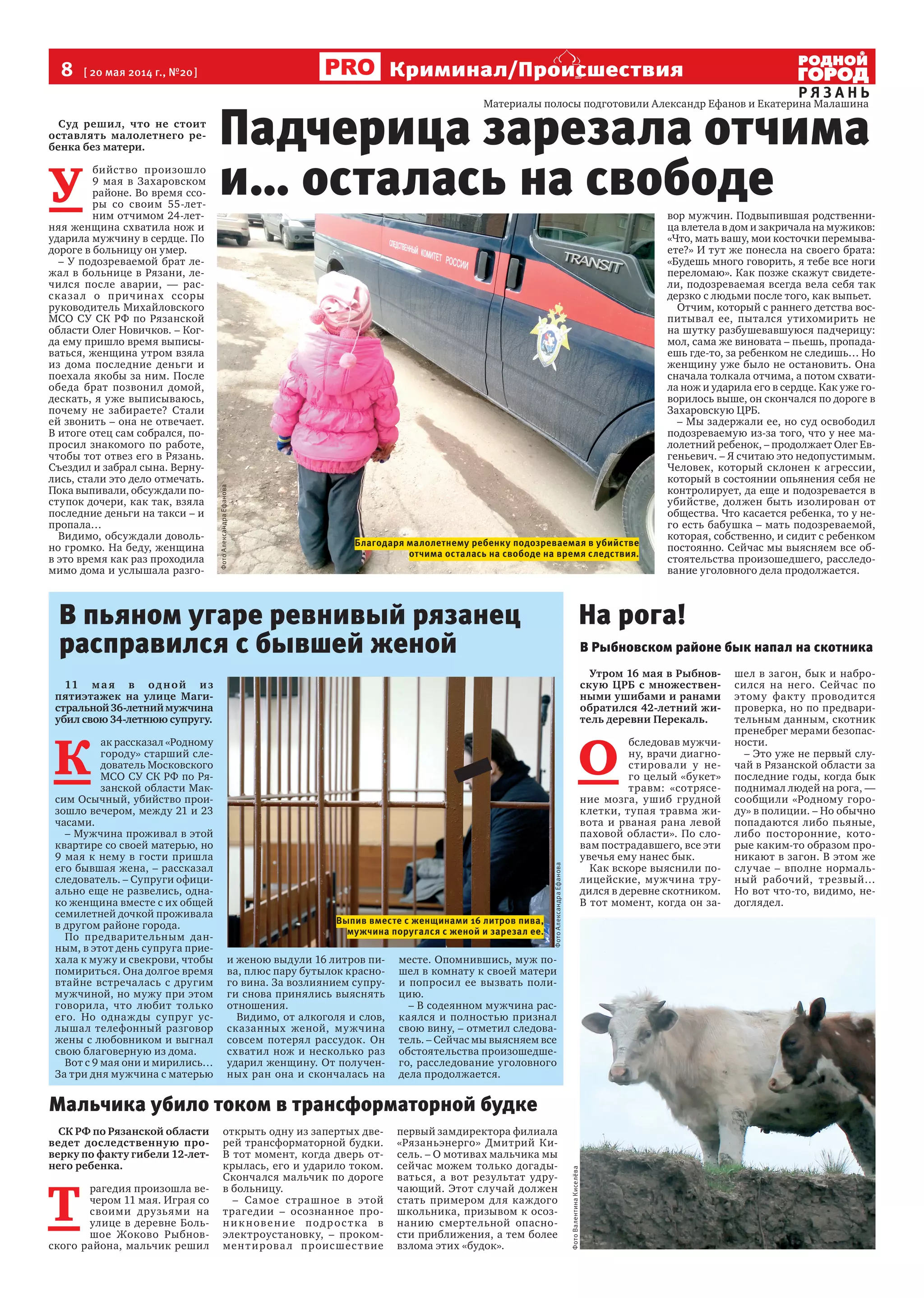 8  [ 20 мая 2014 г., №20 ]
Р Я З А Н Ь
Криминал/Происшествия
Суд решил, что не стоит
оставлять малолетнего ре-
бенка без матери.
У 
бийство произошло
9 мая в Захаровском
районе. Во время ссо-
ры со своим 55-лет-
ним отчимом 24-лет-
няя женщина схватила нож и
ударила мужчину в сердце. По
дороге в больницу он умер.
– У подозреваемой брат ле-
жал в больнице в Рязани, ле-
чился после аварии, — рас-
сказал о причинах ссоры
руководитель Михайловского
МСО СУ СК РФ по Рязанской
области Олег Новичков. – Ког-
да ему пришло время выписы-
ваться, женщина утром взяла
из дома последние деньги и
поехала якобы за ним. После
обеда брат позвонил домой,
дескать, я уже выписываюсь,
почему не забираете? Стали
ей звонить – она не отвечает.
В итоге отец сам собрался, по-
просил знакомого по работе,
чтобы тот отвез его в Рязань.
Съездил и забрал сына. Верну-
лись, стали это дело отмечать.
Пока выпивали, обсуждали по-
ступок дочери, как так, взяла
последние деньги на такси – и
пропала…
Видимо, обсуждали доволь-
но громко. На беду, женщина
в это время как раз проходила
мимо дома и услышала разго-
вор мужчин. Подвыпившая родственни-
ца влетела в дом и закричала на мужиков:
«Что, мать вашу, мои косточки перемыва-
ете?» И тут же понесла на своего брата:
«Будешь много говорить, я тебе все ноги
переломаю». Как позже скажут свидете-
ли, подозреваемая всегда вела себя так
дерзко с людьми после того, как выпьет.
Отчим, который с раннего детства вос-
питывал ее, пытался утихомирить не
на шутку разбушевавшуюся падчерицу:
мол, сама же виновата – пьешь, пропада-
ешь где-то, за ребенком не следишь… Но
женщину уже было не остановить. Она
сначала толкала отчима, а потом схвати-
ла нож и ударила его в сердце. Как уже го-
ворилось выше, он скончался по дороге в
Захаровскую ЦРБ.
– Мы задержали ее, но суд освободил
подозреваемую из-за того, что у нее ма-
лолетний ребенок, – продолжает Олег Ев-
геньевич. – Я считаю это недопустимым.
Человек, который склонен к агрессии,
который в состоянии опьянения себя не
контролирует, да еще и подозревается в
убийстве, должен быть изолирован от
общества. Что касается ребенка, то у не-
го есть бабушка – мать подозреваемой,
которая, собственно, и сидит с ребенком
постоянно. Сейчас мы выясняем все об-
стоятельства произошедшего, расследо-
вание уголовного дела продолжается.
11 ма я в одной из
пятиэтажек на улице Маги-
стральной36-летниймужчина
убил свою 34-летнюю супругу.
К 
ак рассказал «Родному
городу» старший сле-
дователь Московского
МСО СУ СК РФ по Ря-
занской области Мак-
сим Осычный, убийство прои-
зошло вечером, между 21 и 23
часами.
– Мужчина проживал в этой
квартире со своей матерью, но
9 мая к нему в гости пришла
его бывшая жена, – рассказал
следователь. – Супруги офици-
ально еще не развелись, одна-
ко женщина вместе с их общей
семилетней дочкой проживала
в другом районе города.
По предварительным дан-
ным, в этот день супруга прие-
хала к мужу и свекрови, чтобы
помириться. Она долгое время
втайне встречалась с другим
мужчиной, но мужу при этом
говорила, что любит только
его. Но однажды супруг ус-
лышал телефонный разговор
жены с любовником и выгнал
свою благоверную из дома.
Вот с 9 мая они и мирились…
За три дня мужчина с матерью
и женою выдули 16 литров пи-
ва, плюс пару бутылок красно-
го вина. За возлиянием супру-
ги снова принялись выяснять
отношения.
Видимо, от алкоголя и слов,
сказанных женой, мужчина
совсем потерял рассудок. Он
схватил нож и несколько раз
ударил женщину. От получен-
ных ран она и скончалась на
месте. Опомнившись, муж по-
шел в комнату к своей матери
и попросил ее вызвать поли-
цию.
– В содеянном мужчина рас-
каялся и полностью признал
свою вину, – отметил следова-
тель. – Сейчас мы выясняем все
обстоятельства произошедше-
го, расследование уголовного
дела продолжается.
Падчерица зарезала отчима
и… осталась на свободе
Утром 16 мая в Рыбнов-
скую ЦРБ с множествен-
ными ушибами и ранами
обратился 42-летний жи-
тель деревни Перекаль.
О 
бследовав мужчи-
ну, врачи диагно-
стировали у не-
го целый «букет»
травм: «сотрясе-
ние мозга, ушиб грудной
клетки, тупая травма жи-
вота и рваная рана левой
паховой области». По сло-
вам пострадавшего, все эти
увечья ему нанес бык.
Как вскоре выяснили по-
лицейские, мужчина тру-
дился в деревне скотником.
В тот момент, когда он за-
шел в загон, бык и набро-
сился на него. Сейчас по
этому факту проводится
проверка, но по предвари-
тельным данным, скотник
пренебрег мерами безопас-
ности.
– Это уже не первый слу-
чай в Рязанской области за
последние годы, когда бык
поднимал людей на рога, —
сообщили «Родному горо-
ду» в полиции. – Но обычно
попадаются либо пьяные,
либо посторонние, кото-
рые каким-то образом про-
никают в загон. В этом же
случае – вполне нормаль-
ный рабочий, трезвый…
Но вот что-то, видимо, не-
доглядел.
СК РФ по Рязанской области
ведет доследственную про-
верку по факту гибели 12-лет-
него ребенка.
Т 
рагедия произошла ве-
чером 11 мая. Играя со
своими друзьями на
улице в деревне Боль-
шое Жоково Рыбнов-
ского района, мальчик решил
открыть одну из запертых две-
рей трансформаторной будки.
В тот момент, когда дверь от-
крылась, его и ударило током.
Скончался мальчик по дороге
в больницу.
– Самое страшное в этой
трагедии – осознанное про-
никновение подростка в
электроустановку, – проком-
ментировал происшествие
первый замдиректора филиала 
«Рязаньэнерго» Дмитрий Ки-
сель. – О мотивах мальчика мы
сейчас можем только догады-
ваться, а вот результат удру-
чающий. Этот случай должен
стать примером для каждого
школьника, призывом к осоз-
нанию смертельной опасно-
сти приближения, а тем более
взлома этих «будок».
В пьяном угаре ревнивый рязанец
расправился с бывшей женой
На рога!
В Рыбновском районе бык напал на скотника
Мальчика убило током в трансформаторной будке
Благодаря малолетнему ребенку подозреваемая в убийстве
отчима осталась на свободе на время следствия.
Выпив вместе с женщинами 16 литров пива,
мужчина поругался с женой и зарезал ее.
ФотоАлександраЕфанова
ФотоАлександраЕфанова
ФотоВалентинаКиселёва
 