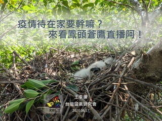 1
王李廉
台灣猛禽研究會
2020.06.17
疫情待在家要幹嘛？
來看鳳頭蒼鷹直播阿！
 