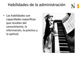 Habilidades de la administración
• Las habilidades son
capacidades específicas
que resultan del
conocimiento, la
información, la práctica y
la aptitud.
 