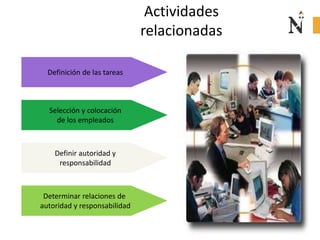 Actividades
relacionadas
Definición de las tareas
Selección y colocación
de los empleados
Definir autoridad y
responsabilidad
Determinar relaciones de
autoridad y responsabilidad
 