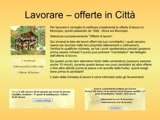 Lavorare – offerte in Città Per lavorare ti consiglio di verificare inizialmente le offerte di lavoro in Municipio, quindi passando da “città”, clicca sul Municipio. Seleziona successivamente “Offerte di lavoro”. Qui troverai la lista dei lavori offerti dai tuoi concittadini, i quali cercano operai per lavorare nelle loro proprietà (allevamenti o coltivazioni). Verifica le qualifiche richieste, se hai i punti caratteristica previsti (possono anche essere richiesti 0 punti) puoi premere “Candidatevi” dal dettaglio dell’offerta di lavoro. Da questo punto devi attendere l’esito della candidatura (possono passare anche 10 minuti), durante questo tempo non puoi candidarti ad altre offerte o fare altre attività (come la pesca o la raccolta della frutta), quindi scegli bene prima di candidarti! L’esito della richiesta di lavoro ti verrà informato sotto gli Avvenimenti. 