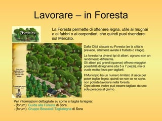 Lavorare – in Foresta La Foresta permette di ottenere legna, utile ai mugnai e ai fabbri o ai carpentieri, che quindi puoi rivendere sul Mercato. Dalla Città cliccate su Foresta (se la città lo prevede, altrimenti avrete il frutteto o il lago). La foresta ha diversi tipi di alberi, ognuno con un rendimento differente. Gli alberi più grandi (querce) offrono maggiori possibilità di legname (da 5 a 7 pezzi), ma ci vuole molta forza per tagliarli. Il Municipio ha un numero limitato di asce per poter tagliar legna, quindi se non ce ne sono, non potrete lavorare nella foresta. Ogni albero inoltre può essere tagliato da una sola persona al giorno. Per informazioni dettagliate su come si taglia la legna: - (forum):  Guida alla Foresta  di Sora - (forum):  Gruppo Boscaioli Taglialegna  di Sora 